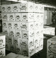 מפעלים אזוריים- בית אריזה הדרים.