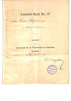 Press clippings, circulars and other material from Magnes' student days in Germany.