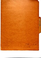 Correspondence in the U.S.A.: Norman Bentwich, Cairo, London, Jerusalem also on Jews in Palestine, relief work; American Jewish Congress, "Kehillah".