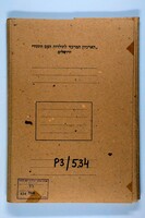 Speeches and press clippings on activities in the rabbinate, Jewish Defense Association, Zionist Organization, People's Relief and People's Council of America.