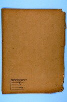 Correspondence with officers of the Federation of American Zionists, minutes of Executive Committee meetings and printed material.