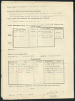 Applicant: Abisch, Mayer; born 10.12.1880 in Raho (Ukraine); married; profession(s): Hutmacher, Papierwarenerzeuger.