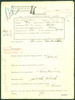 Applicant: Advokat, Pesla/Pessla; born 23.4.1909 in Grebów; single; profession(s): Schneiderin, Krawattennäherin.