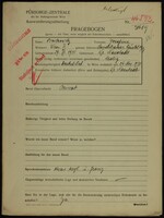 Applicant: Boskowitz, Josefine; born 29.6.1910 in Wiener Neustadt (Austria); single.