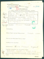 Applicant: Braunwasser, Simon; born 27.4.1894 in Nadworna (Ukraine); married.