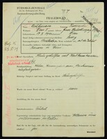 Applicant: Aschkenas, Franziska; born 17.10.1910 in Vienna (Austria); single.
