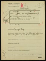 Applicant: Auspitz, Lina; born 20.10.1884 in Vienna (Austria); single.