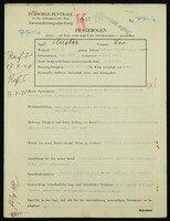 Applicant: Auster, Leo; born 1.6.1898 in Kolomyi︠a︡ (Ukraine); divorced.