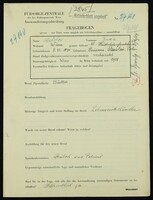 Applicant: Auster, Juda; born 8.12.1891 in Pasieczna Stanislau; married.