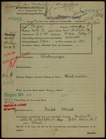 Applicant: Berger, Markus; born 20.4.1881 in Bircza (Poland); married.