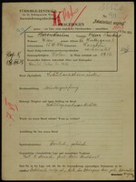Applicant: Birenbaum, Jechok; born 16.5.1909 in Warsaw (Poland); single.
