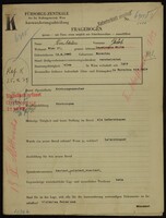 Applicant: Birnbaum, Jakob; born 15.5.1880 in Warsaw (Poland); married.