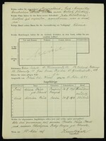 Applicant: Bäck, Hans; born 13.6.1886 in Vienna (Austria); married.