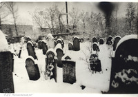 Photograph of: Old Jewish Cemetery in Khust.