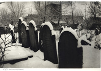Photograph of: Old Jewish Cemetery in Khust.