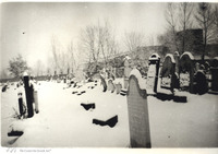 Photograph of: Old Jewish Cemetery in Khust.