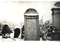 Photograph of: Old Jewish Cemetery in Khust.