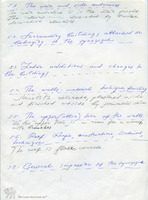 Photograph of: Description of the Yazd (Tiferet Israel) Synagogue in Jerusalem : Description.