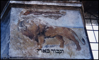 Photograph of: Synagogue in Rymanów - Interior Decoration.