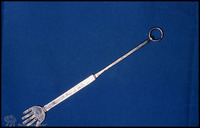 Photograph of: Torah pointer.