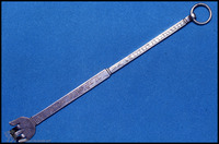 Photograph of: Torah pointer.