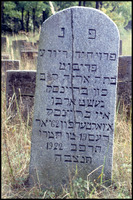 Photograph of: Jewish Cemetery in Brańsk (Briansk).