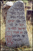 Photograph of: Jewish Cemetery in Brańsk (Briansk).