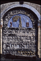 Photograph of: Unidentified jewish tombstones in Poland.