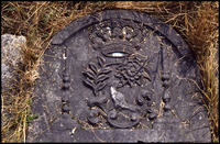 Photograph of: Unidentified jewish tombstones in Poland.