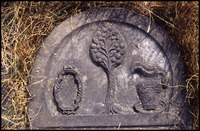 Photograph of: Unidentified jewish tombstones in Poland.