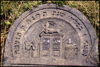 Photograph of: Unidentified jewish tombstones in Poland.