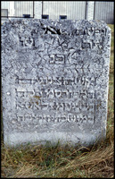 Photograph of: Unidentified jewish tombstones in Poland.