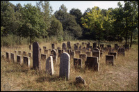 Photograph of: Jewish Cemetery in Brańsk (Briansk).