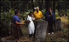 Photograph of: Jewish cemetery in Włodawa.