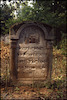 Photograph of: Jewish cemetery in Włodawa.