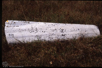 Photograph of: Jewish Cemetery in Karnobat.