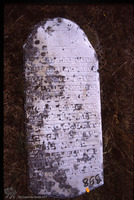 Photograph of: Tomb of Sahaluna wife of Hashmonai son of Hayyim, Jewish Cemetery in Karnobat.