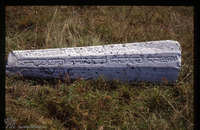 Photograph of: Jewish Cemetery in Karnobat.