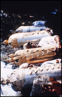 Photograph of: Dedicating a New Torah Scroll.