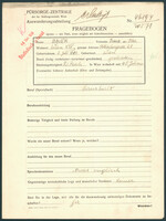 Applicant: Bauer, Irma; born 3.7.1883 in Vienna (Austria); divorced.