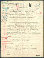 Applicant: Bauernfreund, Josef; born 20.3.1893 in Vienna (Austria); married.