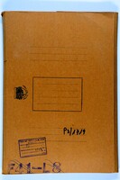 Minutes and reports of the Temporary Organization Committee for Jewish Education in New York City (forerunner of JEA) and correspondence with Magnes.