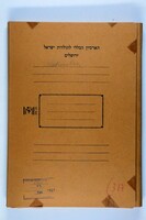 "Nationalism" - Maps of World War I battle lines and press clippings on Jewish v. Arab nationalism in Palestine.