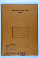 Reports of the "Kehillah" and of the Executive Committee's chairman, includes "The Jewish Community of New York City", an address by Magnes opening the Constituent Convention, Feb. 27.