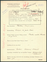 Applicant: Beer, Rudolf; born 15.6.1885 in Třebíč (Czech Republic); married.