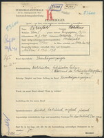Applicant: Dirnfeld, Markus; born 10.10.1901 in Bolszowce (Poland); married.