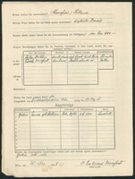Applicant: Dornfest, Leo Konrad; born 28.9.1902 in Bircza; married.
