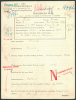 Applicant: Blum, Theodor; born 5.6.1903 in Storozynetz; married.