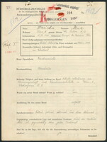 Applicant: Drucker, Max; born 18.3.1892 in Lanczyn (Ukraine); married.