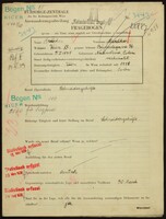 Applicant: Brucker, Mordko; born 5.1.1895 in Nadwórna; married.
